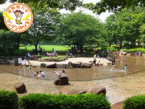 サザンカの名所として知られる亀戸中央公園(江東区)は、遊具が豊富で子どもに人気!