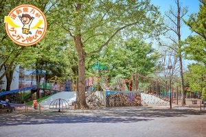 遊びごたえ満点！落合公園（新宿区）の名物はターザンロープがのびる複合遊具