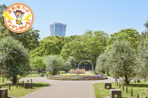 都心のオアシス代々木公園(渋谷区)はサイクリングがおすすめ!子ども用も