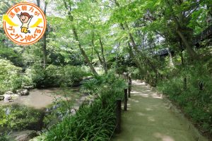 おとめ山公園(新宿区)で森の中を駆け回り自然観察を楽しもう