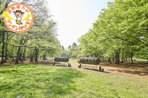 楽しみ方は無限大！広大な野川公園（三鷹市）を遊び尽くそう