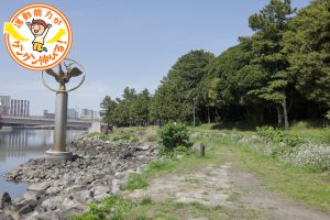 大井ふ頭中央海浜公園なぎさの森(品川区)は森と水辺の遊びが楽しい!