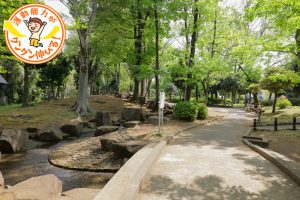 木々に包まれた駒沢緑泉公園(世田谷区)で水遊び&お散歩♪