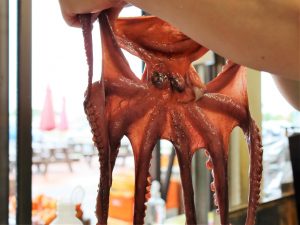 道の駅東浦ターミナルパーク(淡路島)のグルメ&お土産!たこ姿焼きと吹き戻しは必見