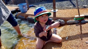 関東の魚つかみ取り体験スポット!川遊び・釣り・バーベキューも楽しみ