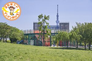 大型複合遊具が楽しい汐入公園（荒川区）でスカイツリーを望みながら思いっきり遊ぼう