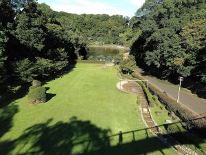 坂田ケ池総合公園(成田市)の小川で水遊び!アスレチック遊具やローラー滑り台も