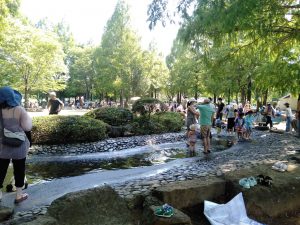 大崎公園(さいたま市)のジャブジャブ池で水遊び!釣り池、子供動物園など1日遊べる