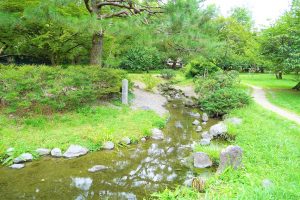 京都御苑の小川で水遊び!子どもの遊び場や散策路、お弁当OKの休憩所なども紹介