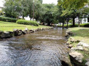 自然に包まれた全長250mの小川で水遊びができる東大宮親水公園(さいたま市)