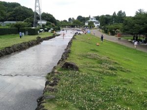 大宮花の丘農林公苑(さいたま市)のじゃぶじゃぶ池で子どもと水遊び!緑の芝生も広~い
