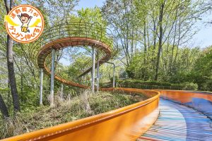 殿入中央公園（八王子市）の、全長105メートルのながーいローラースライダーに大興奮！