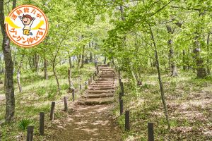 気軽にハイキングが楽しめる浅間山公園（府中市）で自然を体感しよう！