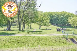 野川沿いにある武蔵野公園（府中市）で自然のレジャーを楽しもう