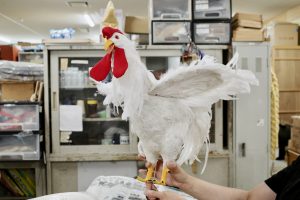 子どもに人気のお仕事に注目!|歌舞伎の小道具(藤浪小道具 近藤さん)<お仕事編>