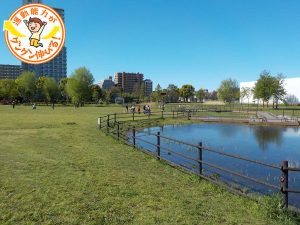トンボの生育地も！尾久の原公園（荒川区）で昆虫観察を楽しもう