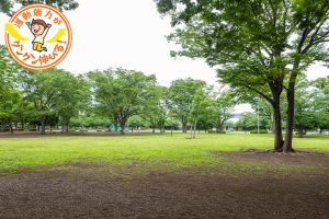 広〜い芝生の上で思いっきり遊ぼう！新小岩公園（葛飾区）