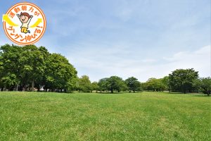 篠崎公園（江戸川区）の広大な敷地には、3つの遊具広場が点在！