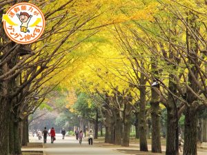 光が丘公園（練馬区・板橋区）は6万㎡の芝生広場や多彩な遊具、バーベキュー広場などが揃う、1日遊べる公園