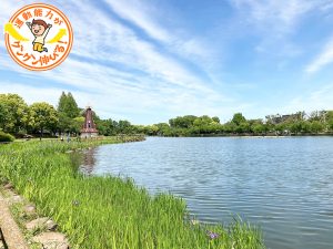 浮間公園（板橋区）は池の周りに水生植物園やバードサンクチュアリが点在する緑豊かな公園