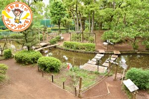 平和の森公園フィールドアスレチックで40種類の遊具を楽しむ方法!料金は?