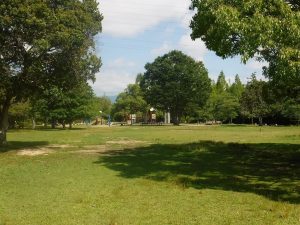 草津市ロクハ公園のプールや遊具で1日遊ぼう！バーベキューやピクニックもおすすめ