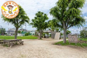 冒険心をくすぐる大型遊具あり！にいじゅくプレイパーク（葛飾区）