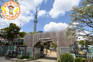 わんぱく天国（墨田区）は秘密基地を思わせるアスレチック遊具にテンションアップ！