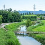 山田池公園（枚方市）の水遊び、遊具など遊び方レポ！バーベキュー場やピクニックも