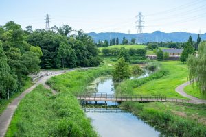 山田池公園(枚方市)の水遊び、遊具など遊び方レポ!バーベキュー場やピクニックも