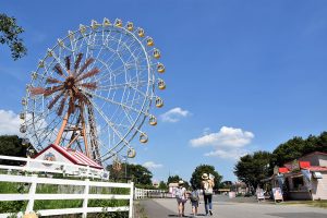 【遊園地編】東武動物公園徹底攻略!小さな子どもにおすすめのアトラクションも網羅