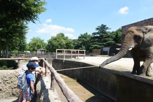【動物園編】東武動物公園徹底攻略!エサやりや抱っこなど、ふれあい体験がいっぱい