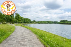 芝生や遊具、生き物や植物観察など、いろいろな遊び方ができる水元公園（葛飾区）