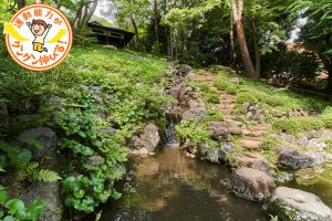 起伏ある殿ヶ谷戸庭園(国分寺市)は自然たっぷりで、小さな子どもとの散策に最適