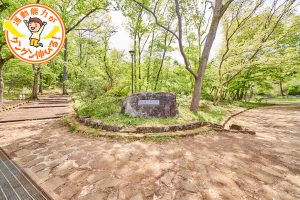 東大和公園(東大和市)は丘陵地を生かした雑木林の自然遊びが魅力