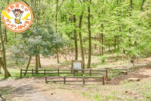 狭山緑地フィールドアスレチック（東大和市）は子どもの冒険心をくすぐる遊具がいっぱい！　