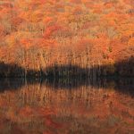 ［東北］秋の絶景！紅葉ハイキング・紅葉散歩のおすすめスポット（～11月中旬）