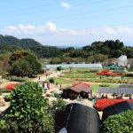 信貴山のどか村で芋掘りや栗拾い！バーベキュー・アスレチック・釣りなど年中遊べる