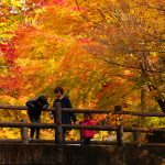 ［九州］秋の絶景！紅葉ハイキング・紅葉散歩のおすすめスポット（～12月上旬）