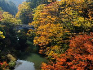 ［甲信越・北陸］秋の絶景！紅葉ハイキング・紅葉散歩のおすすめスポット（～11月）