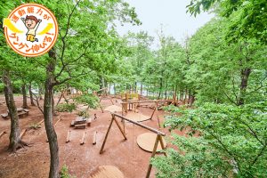 都立最大級に広い野山北・六道山公園（武蔵村山市）でハイキングや里山体験を