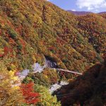 秋は爽快に紅葉ドライブ！車窓から絶景が楽しめる道路・ドライブウェイ・名所50選