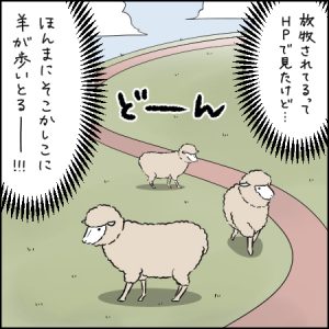 放牧されたひつじと触れ合える幸せ!|3歳とおでかけ in 六甲山牧場①