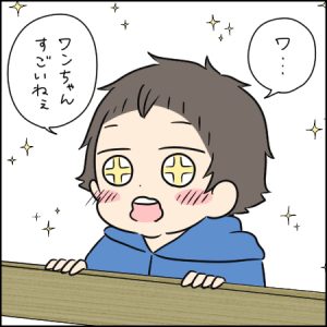 かわいくてエンターテインメント性抜群のシープドッグショー|3歳とおでかけ in 六甲山牧場⑤