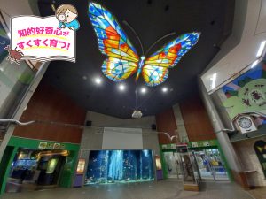 「いのち」の尊さを学べる足立区生物園(東京都)で多種多様な生き物たちを見に行こう!