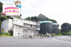 多摩動物公園 昆虫園（東京都）でユニークな生態をもつ世界中の虫を観察