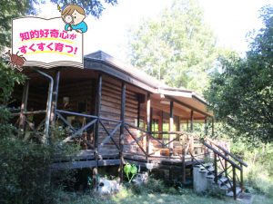 オオムラサキの森活動センター(埼玉県)で森に棲むチョウたちの姿を観察してみよう!