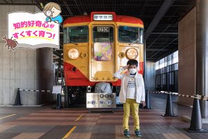 運転シミュレータだけじゃない!鉄道博物館(埼玉県)で鉄道の過去・現在・未来を学ぶ