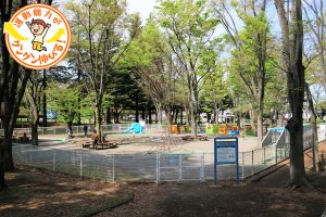 城北中央公園（練馬区、板橋区）は、多彩な遊具に幼児から小学校高学年まで大満足！