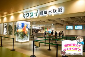 カワスイ 川崎水族館(神奈川県)にはなにがいる?水槽の観察だけじゃない! 子ども連れに快適な空間